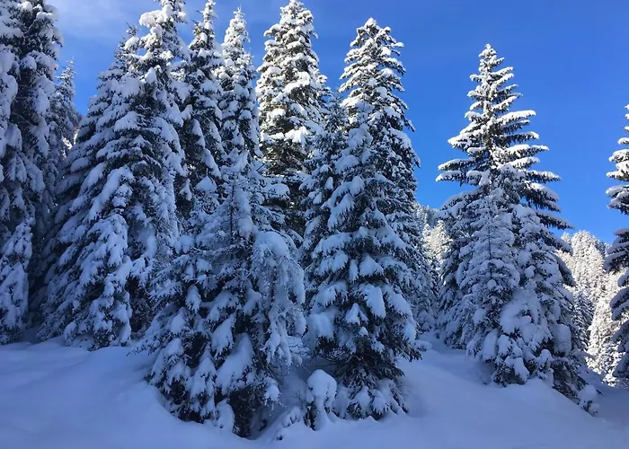 Haus Am Reiteckweg *